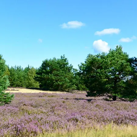 Διαμέρισμα An Der Heide, 9, 29494 Trebel